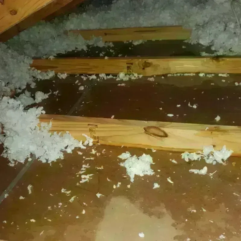 Attic Water Damage in Sharp County, AR