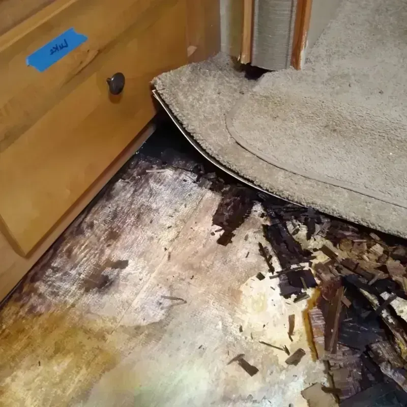 Wood Floor Water Damage in Sharp County, AR